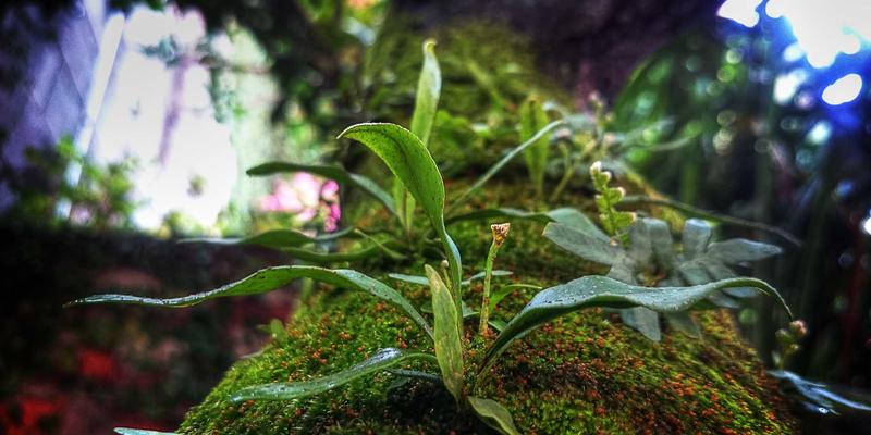 南宁中医情志养生工作坊：疏肝解郁的音乐疗法与穴位按压指南