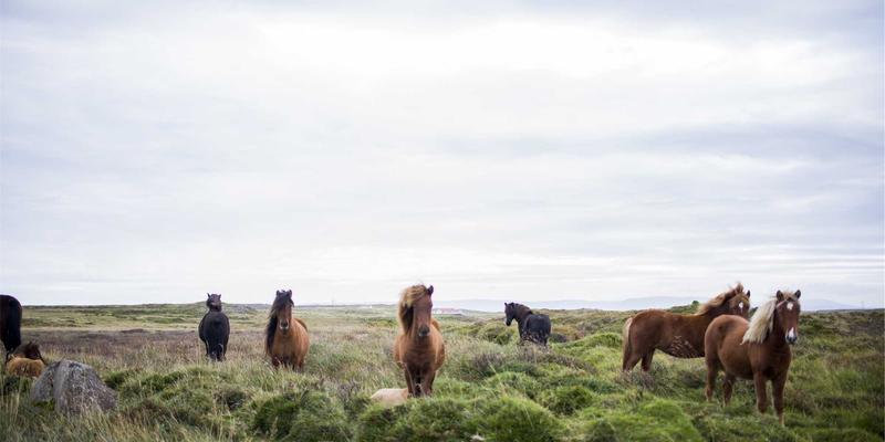 南宁中医美容养颜全攻略：内调外敷，用传统中医智慧焕活好气色