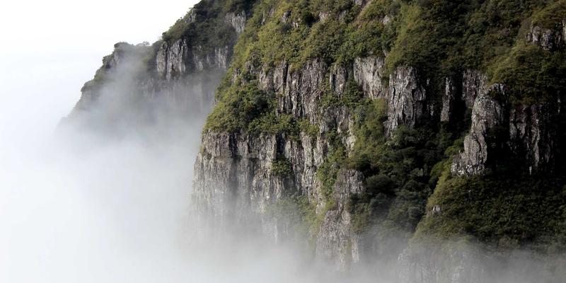 南宁中老年慢性病调理指南：中医推拿艾灸与科学运动双管齐下