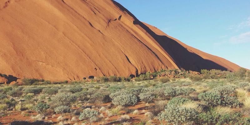 南宁企业高管定制养生服务解析：中医养生与推拿如何为高压人群构建健康防线