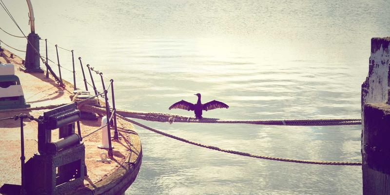 南宁养生55：融合中医推拿、食疗与健康管理的现代生活智慧