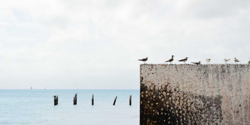 南宁养生62：探寻中医推拿与艾灸的养生智慧