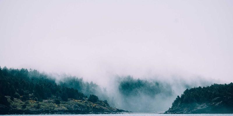 南宁养生77：探寻绿城健康生活新方式，中医推拿与艾灸的智慧融合