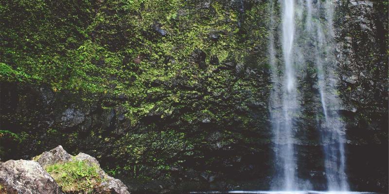 南宁养生SPA会所高端体验测评：揭秘如何通过专业手法与食疗实现深度体质调理