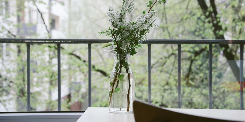 南宁养生新体验：森林浴、湖边冥想与艾灸疗愈的完美融合