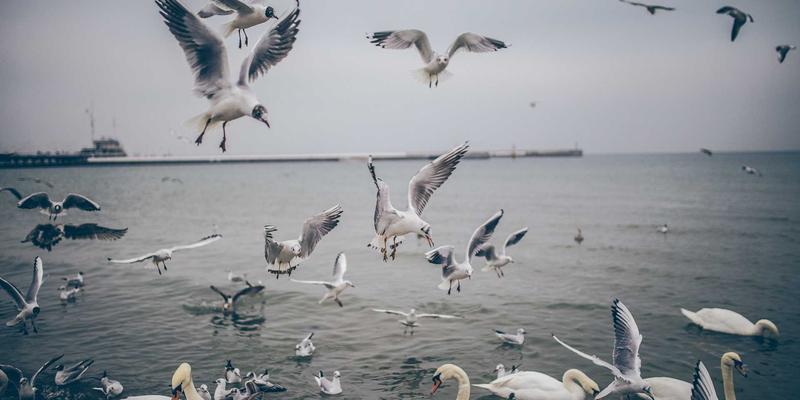 南宁养生新趋势：融合中医智慧、专业服务与食疗文化的健康生活指南