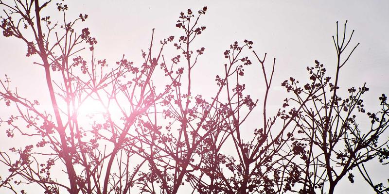 南宁养生新风尚：探寻中医艾灸的千年智慧与现代应用