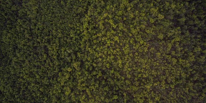 南宁养生新风尚：艾灸服务的健康智慧与城市生活融合