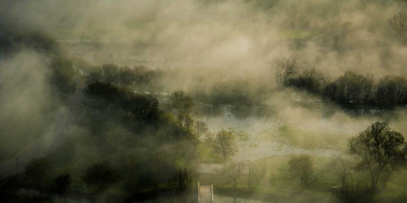 南宁夏季祛湿养生食疗全攻略：传统中医智慧与现代体质调理的完美结合