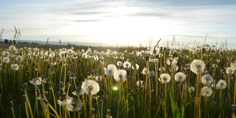 南宁女性生理周期中医调理指南：四阶段食疗养生重点解析
