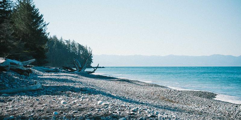 南宁职场女性内分泌调理指南：周期养生法与本地药材食疗方案