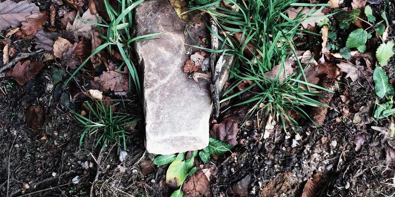 南宁青少年考前调理指南：中医艾灸与健康管理提升免疫力科学减压